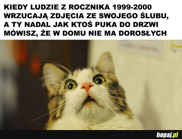  Różne etapy