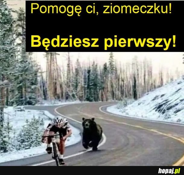 Pomagam człowiekowi