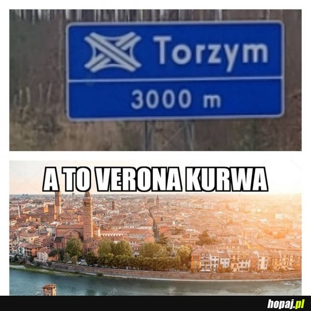 Torzym 