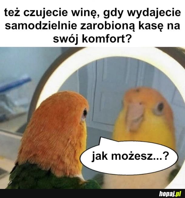 Powinieneś i nie powinieneś, nie zasługujesz itp itd