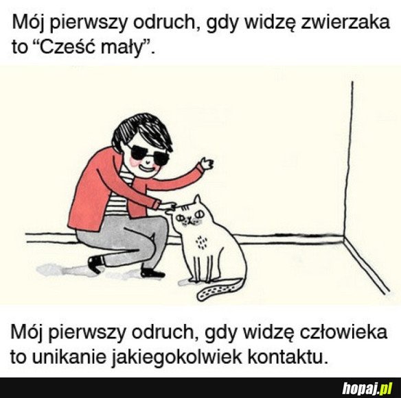PIERWSZY ODRUCH