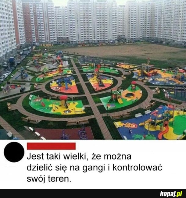 Rada z d..py