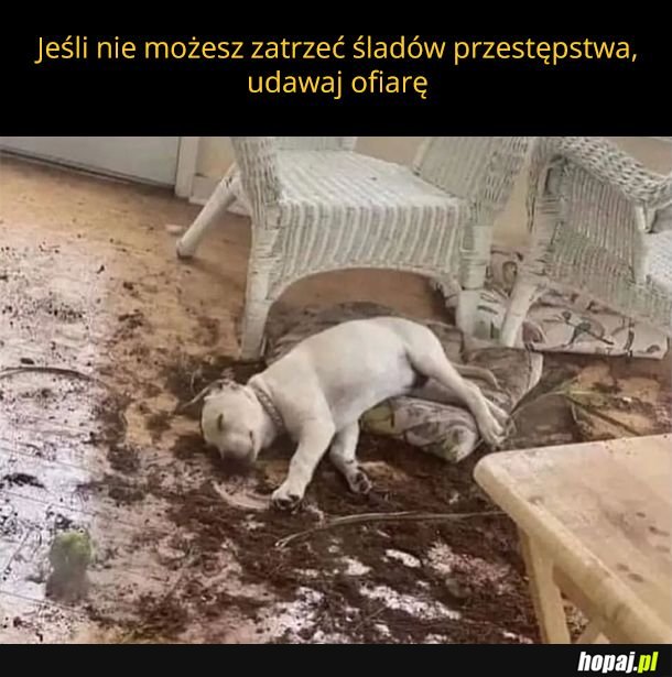 Biedny!