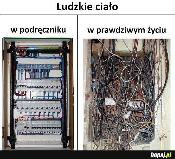 Ludzkie ciało