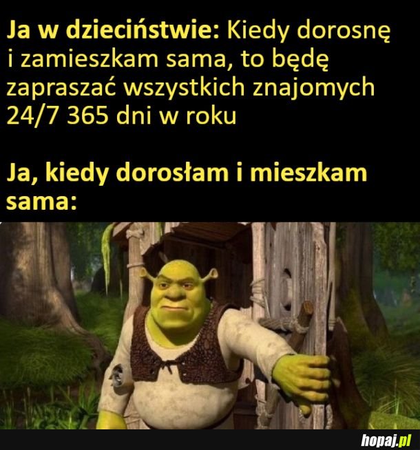 Żadnych gości