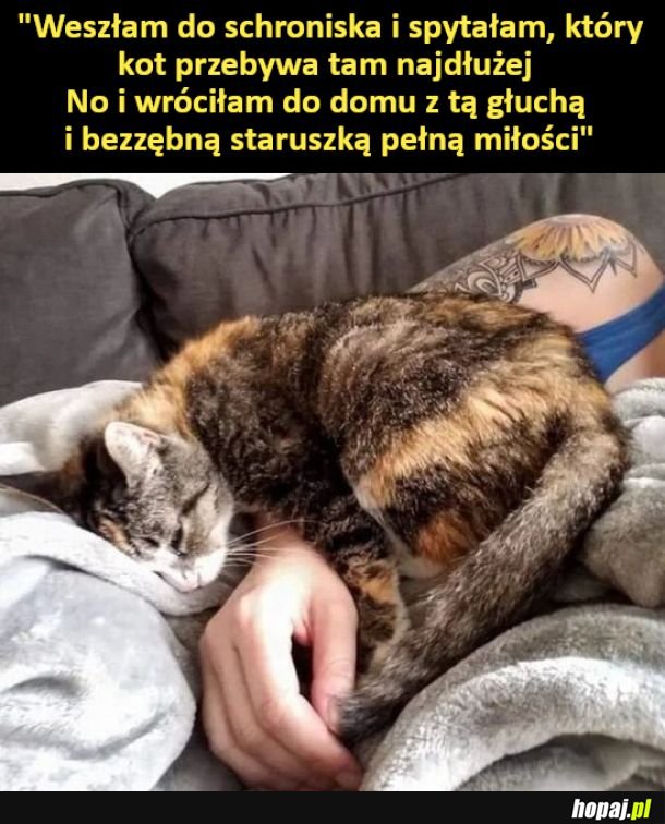 Staruszka pełna miłości