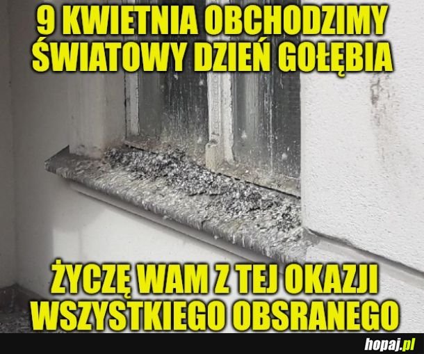 Zapowiada się kupa zabawy