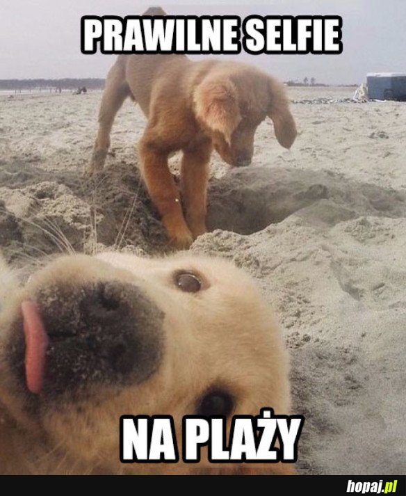 SELFIE NA PLAŻY