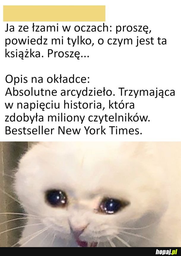 Fabuła książki