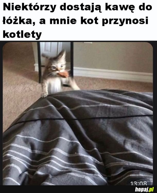 Kochany kotek