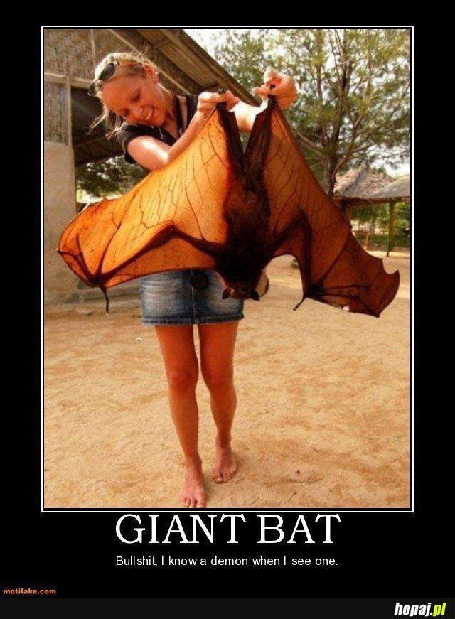 Giant Bat