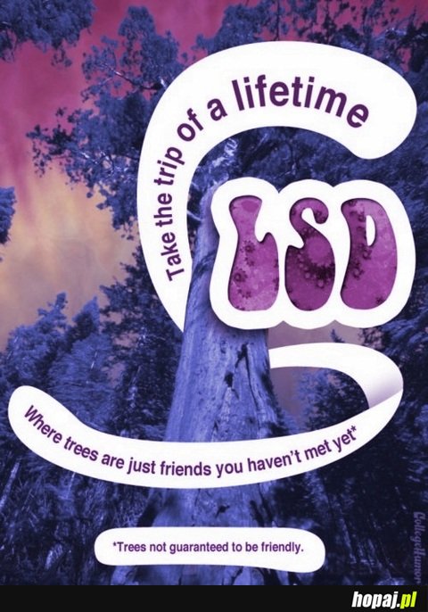 Take a trip of a lifetime