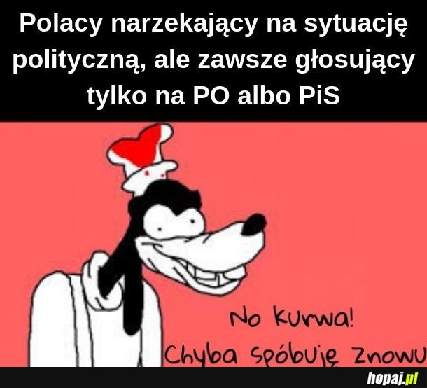  Można? Można! 