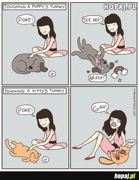 Jaka jest różnica w posiadaniu psa, a kota ;)