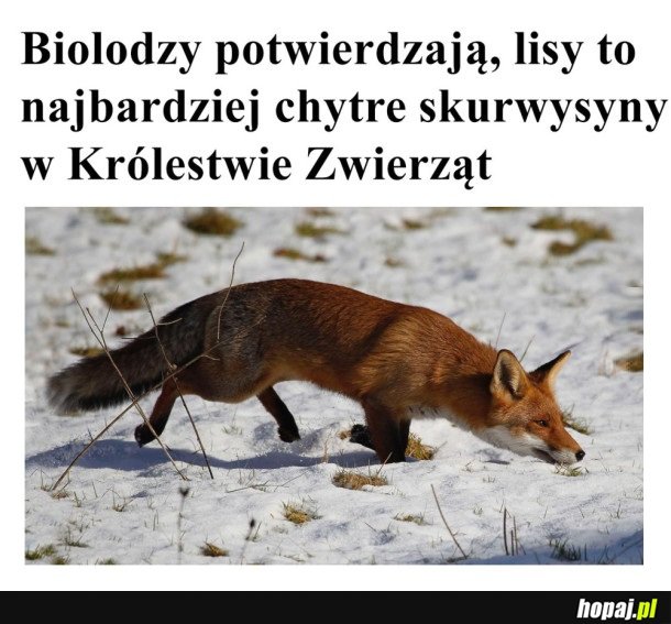 BIOLODZY POTWIERDZAJĄ