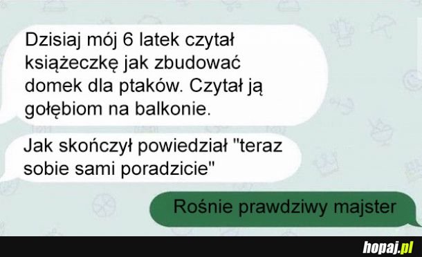 Rezolutny 6latek