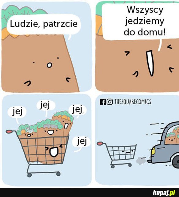 WSZYSCY JEDZIEMY DO DOMU!