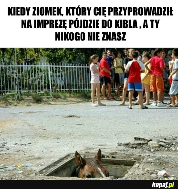 NIKOGO NIE ZNAM NA IMPREZIE