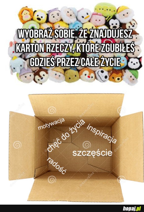 KARTON DOBROCI