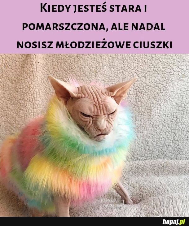 Z tyłu liceum, z przodu mauzoleum