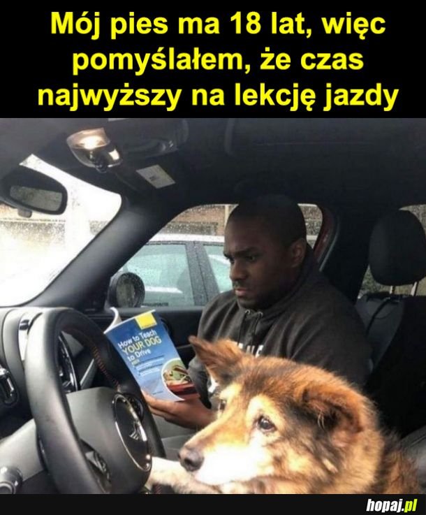 Czas na naukę