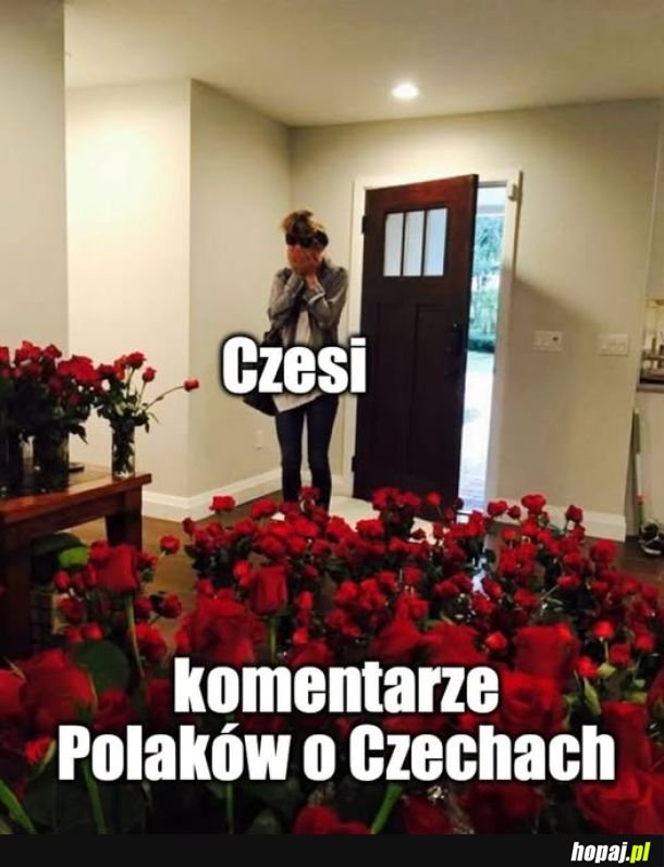 Czesi