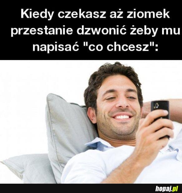 Co chcesz