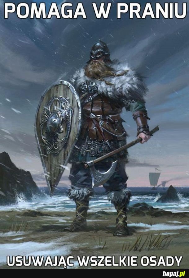 Dobry ziomek wiking