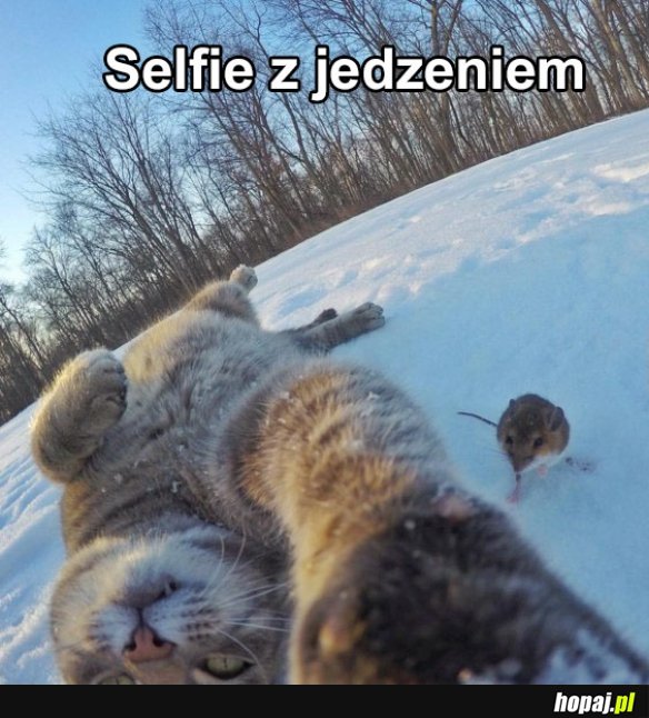 Selfie