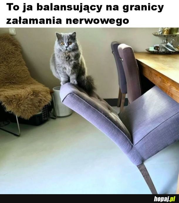 Załamanie nerwowe