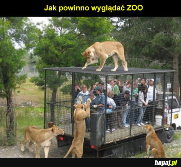 ZOO