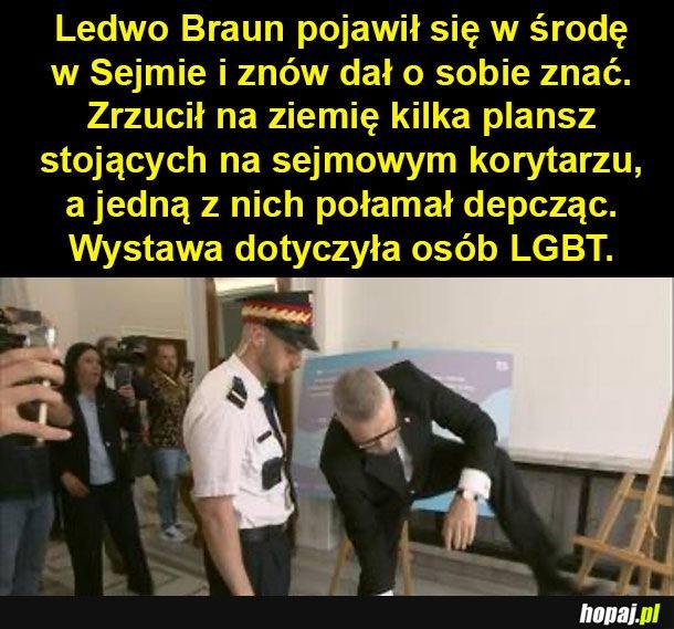 Braun jak zwykle