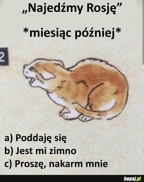 Odpowiedź d) wszystkie powyższe