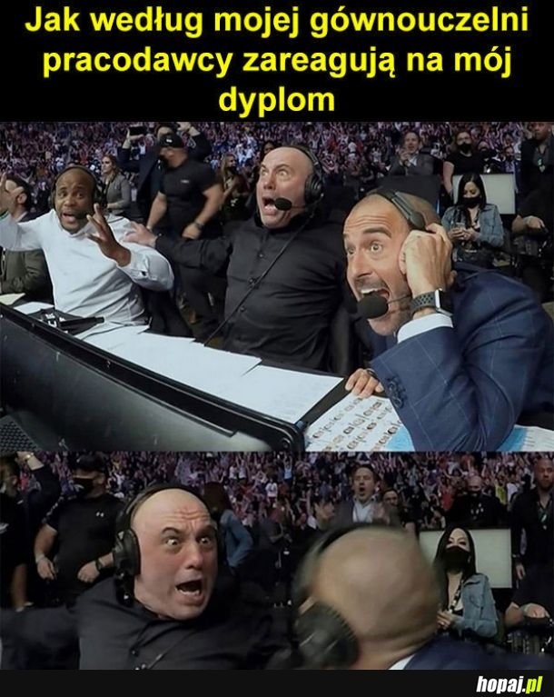 Reakcja na dyplom