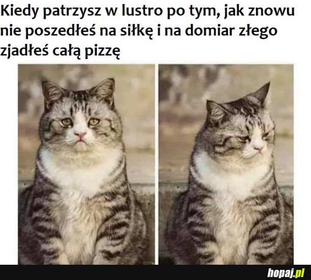 Lepiej nie patrzeć 