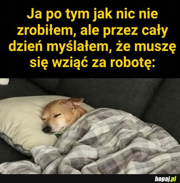 Narobiłem się