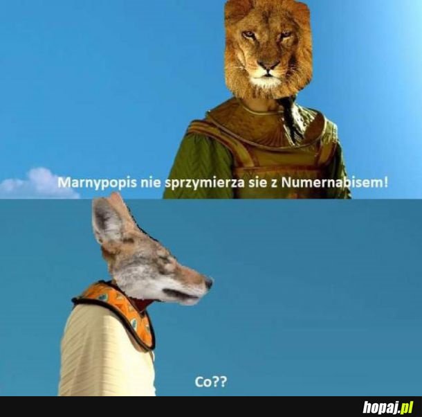 Tymczasem w alternatywnej rzeczywistości...