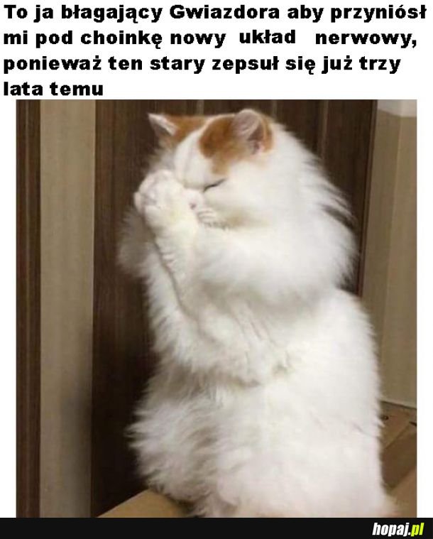 Prośba