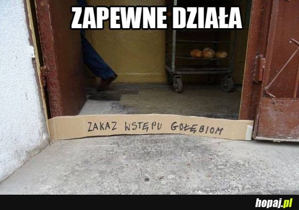 Świetny zakaz