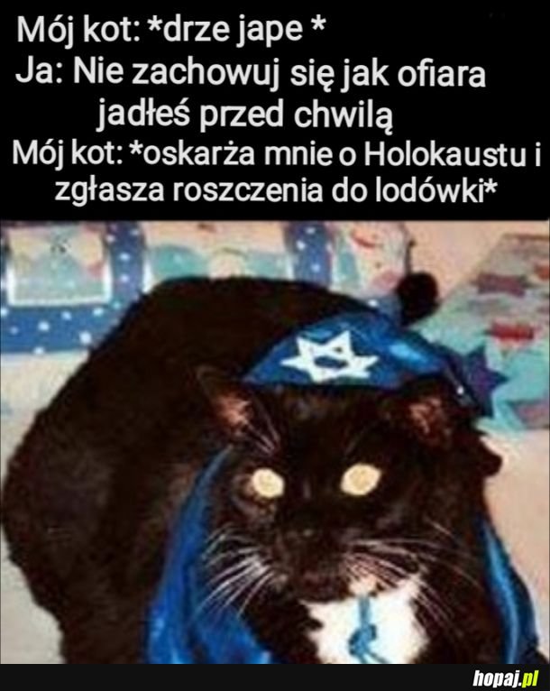 Od dziś wolę psy 