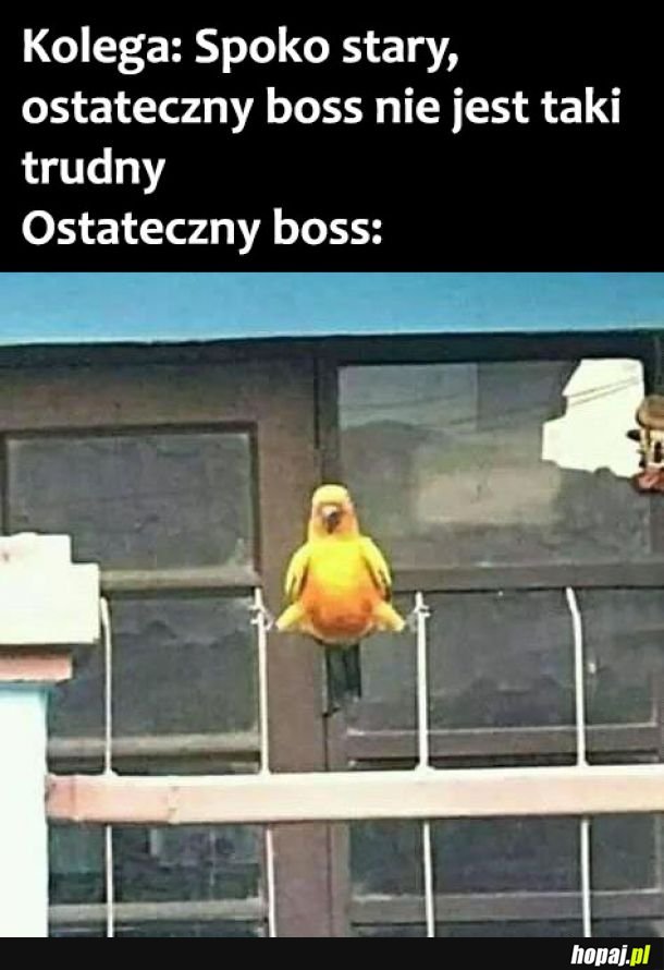  Ostateczny boss