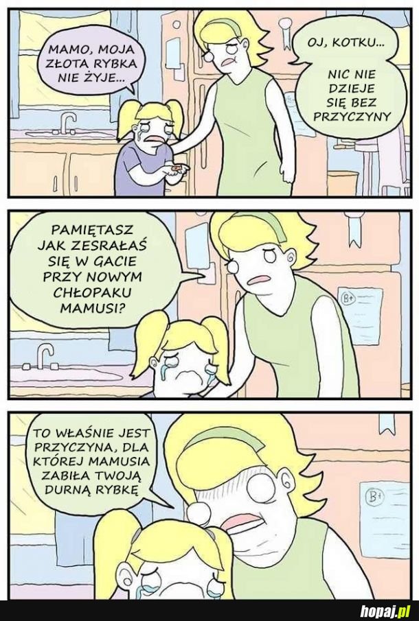 Nic się nie dzieje bez powodu