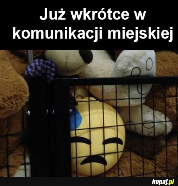 KOCHANE DZIECI WRACAJĄ DO SZKOŁY