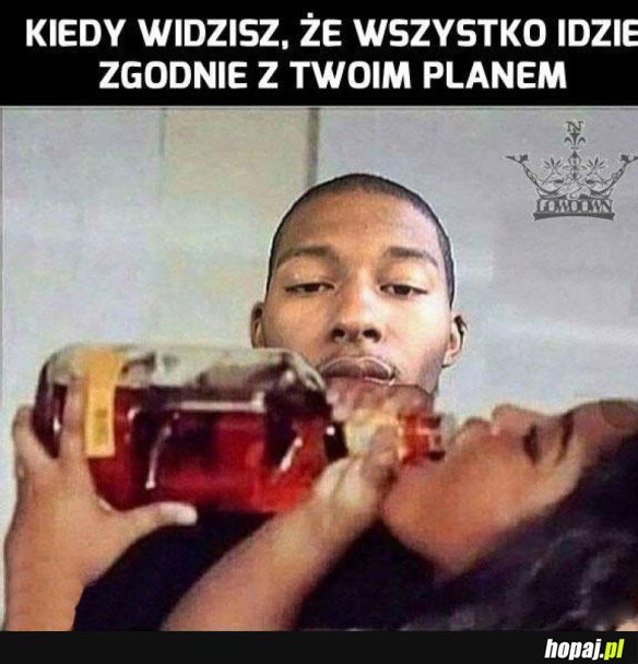 Wszystko zgodnie z planem