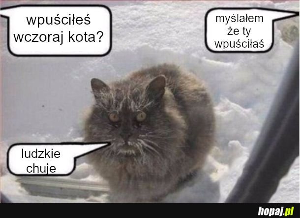 Zima