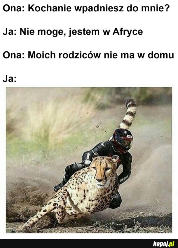 PĘDZĘ Z AFRYKI DO MOJEJ KOBIETY