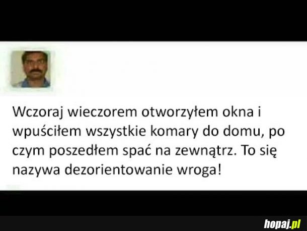 Je*any strateg!