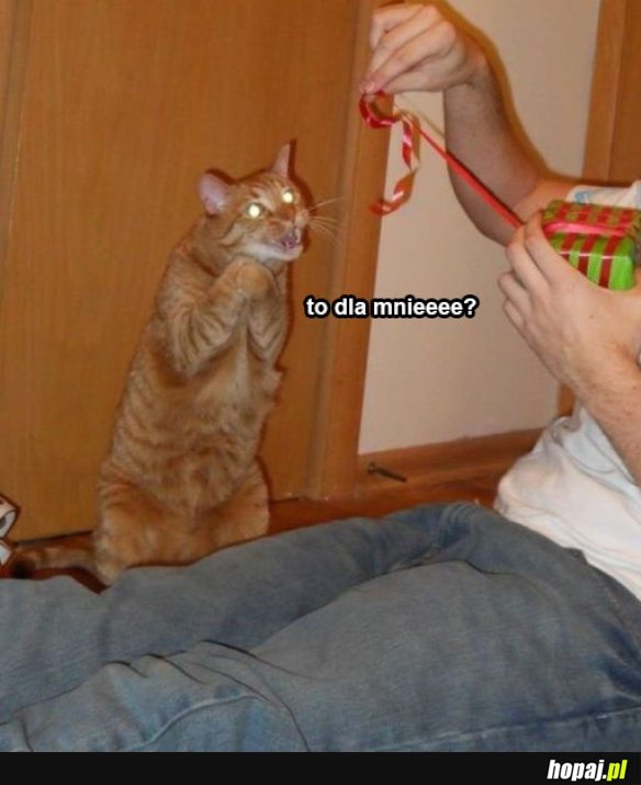 To dla mnie?