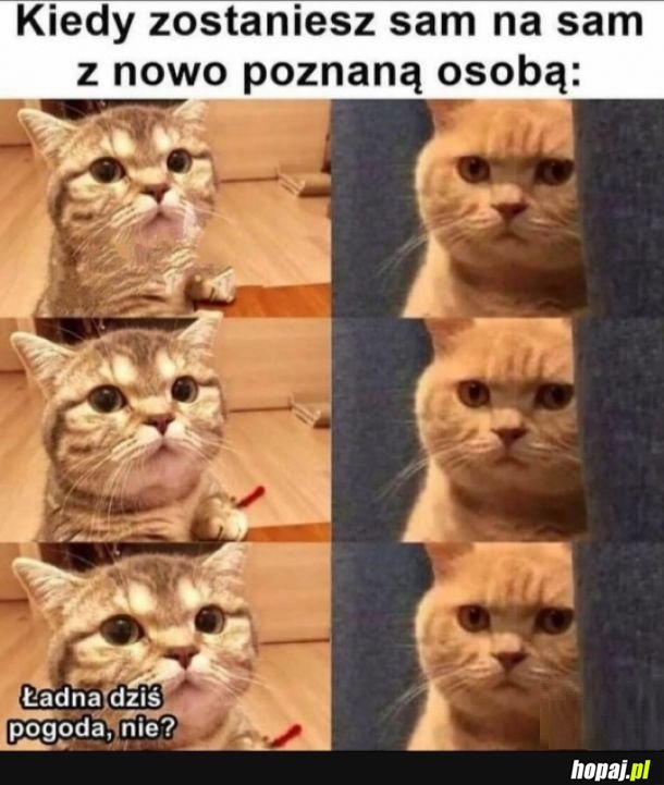 Nieznajomy