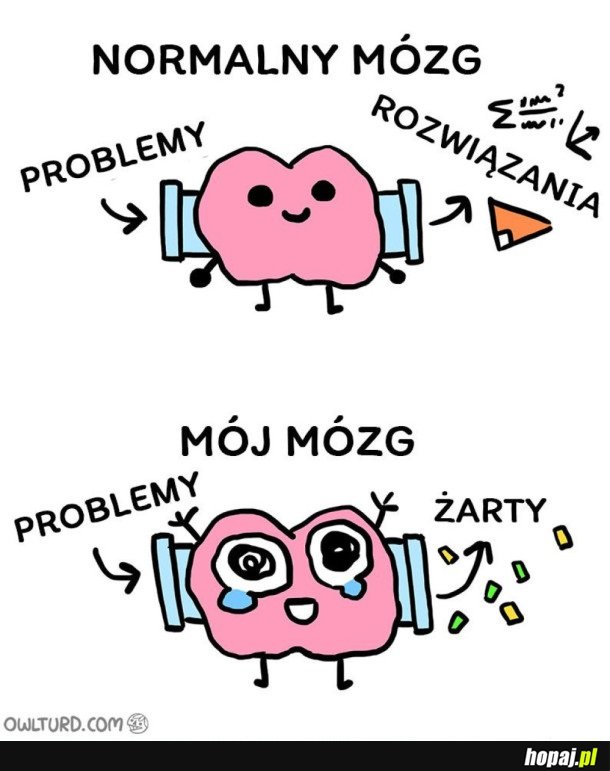 MÓJ MÓZG